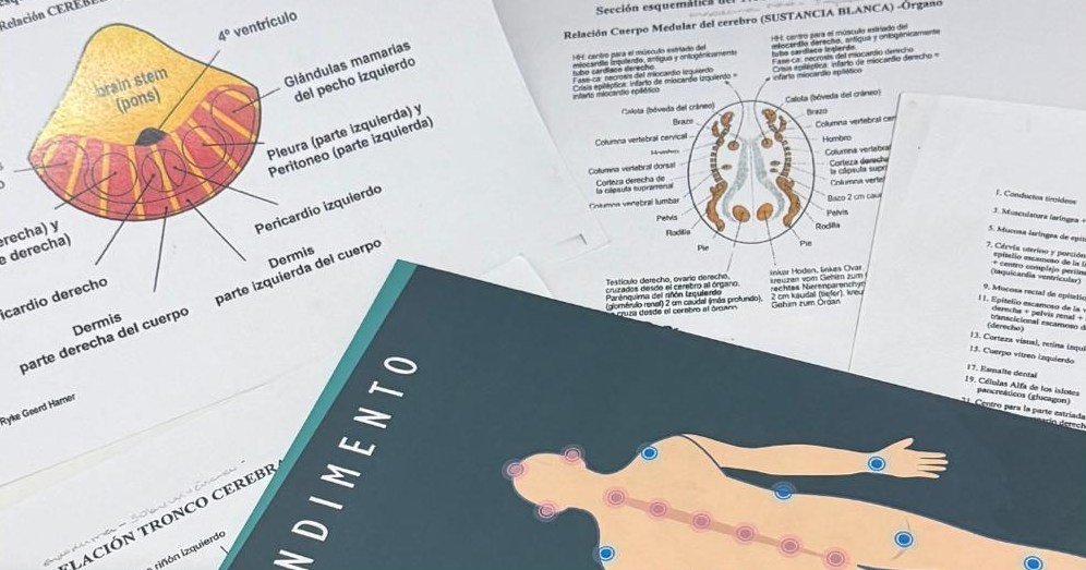 Mapas de correlação cérebro-órgão utilizados nas sessões de 7Healings
